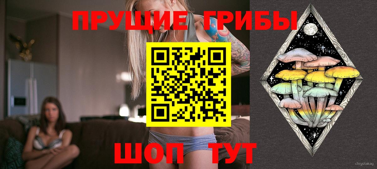 Ступино  Галлюциногенные грибы мицелий  Псилоцибиновые грибы мицелий  Вход с VPN 