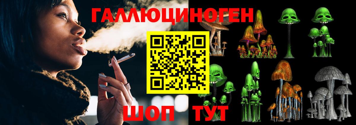 Галлюциногенные грибы Cubensis Ступино
